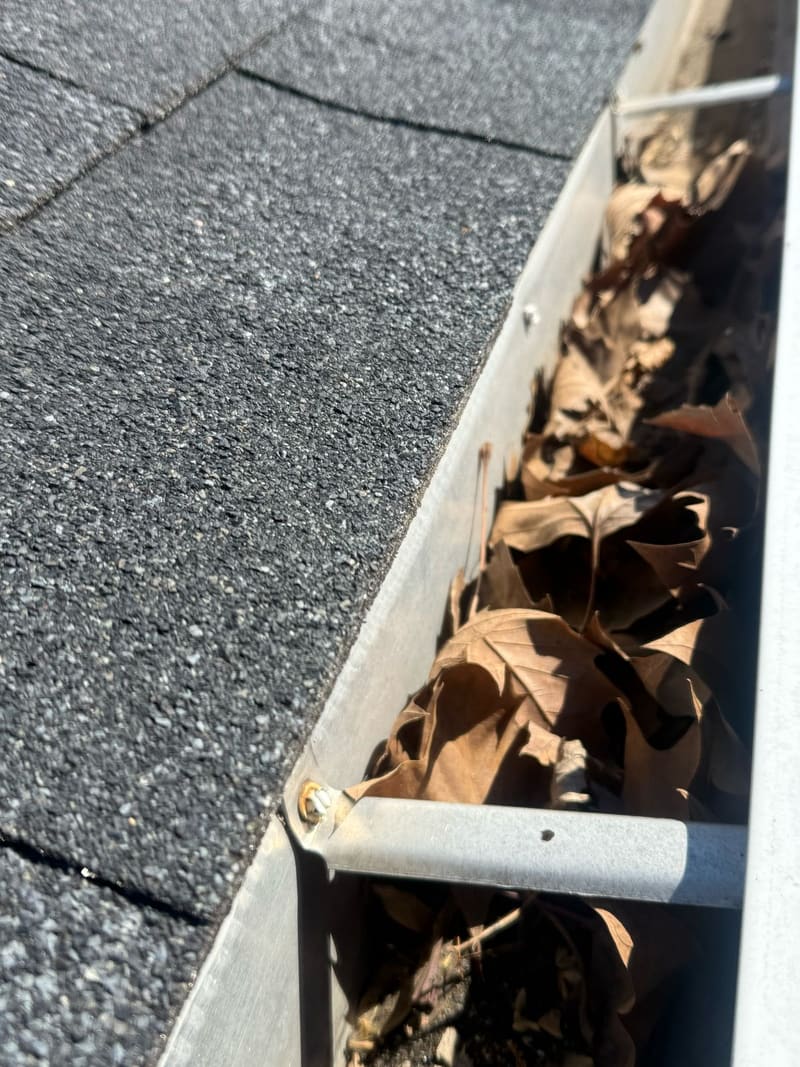 All Pro Gutter Guards gutter guard installation in Williamstown, NJ