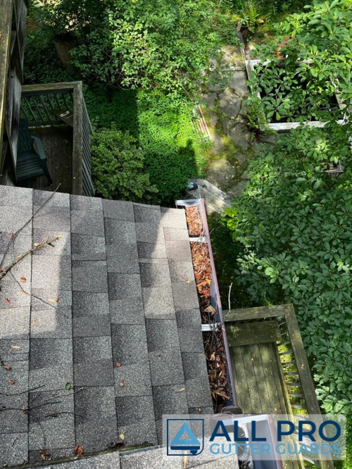 gutter cleaning services