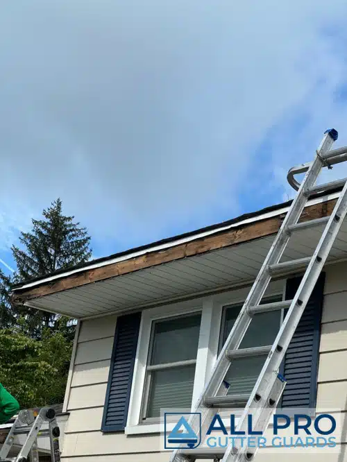 radnor gutter cleaning contractor